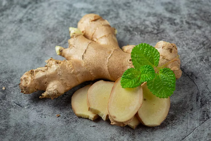 bahan herbal yang dihindari ibu menyusui