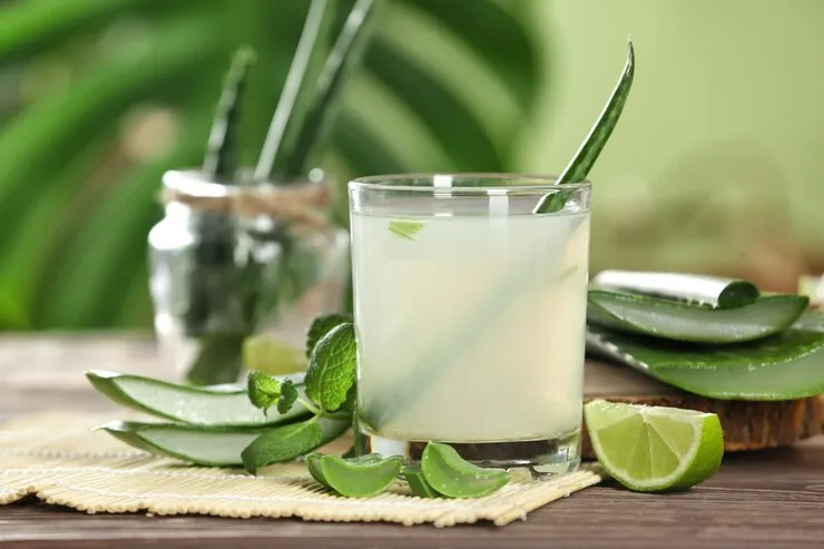 bahan herbal yang dihindari ibu menyusui