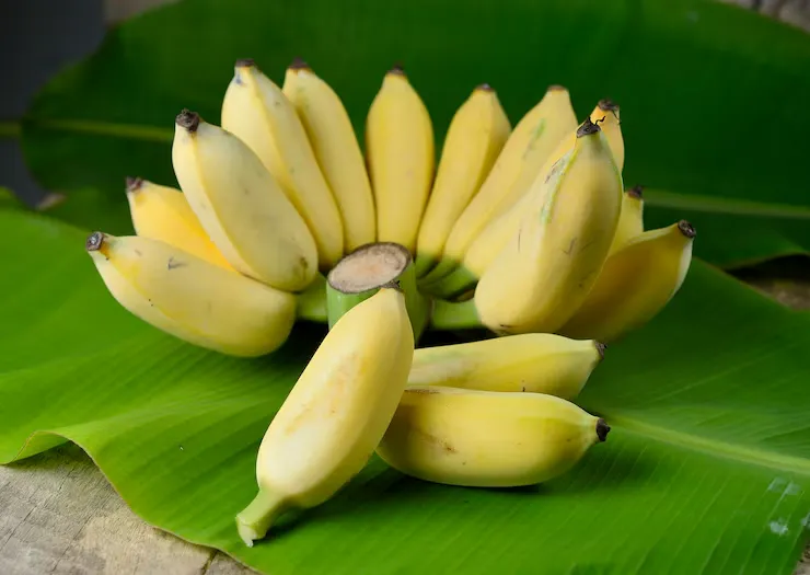 buah yang bagus untuk ibu hamil