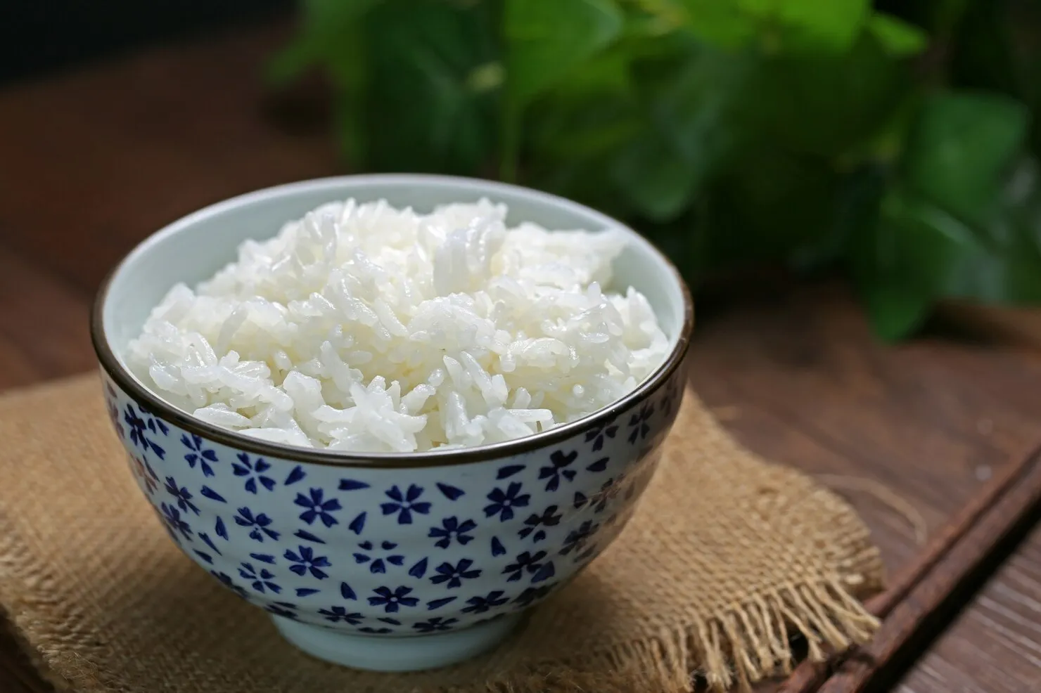 makanan penambah berat badan anak
