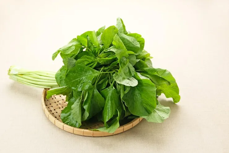 makanan untuk mengurangi kaki bengkak pada ibu hamil